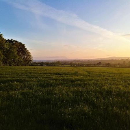 Moneylands Farm B&B Арклоу Екстер'єр фото