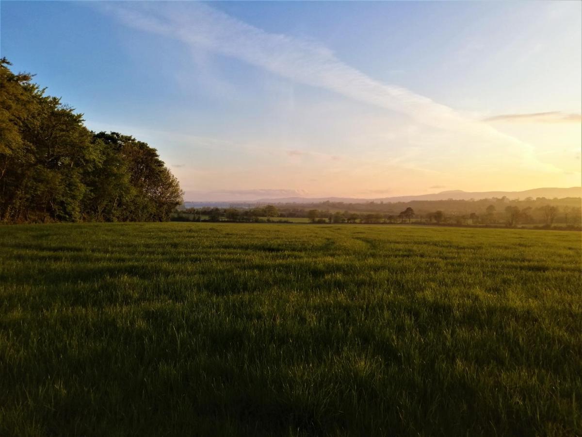 Moneylands Farm B&B Арклоу Екстер'єр фото